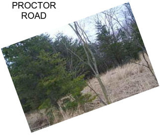 PROCTOR ROAD