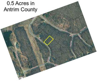 0.5 Acres in Antrim County