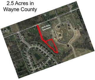 2.5 Acres in Wayne County