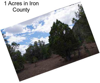 1 Acres in Iron County