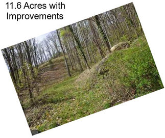 11.6 Acres with Improvements