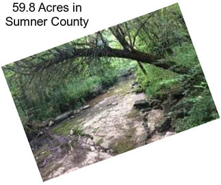 59.8 Acres in Sumner County