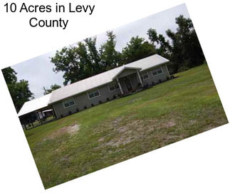 10 Acres in Levy County