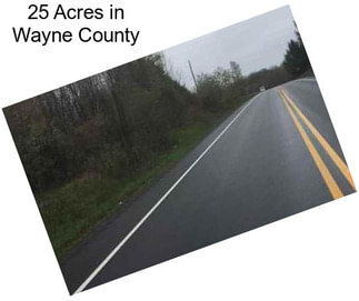 25 Acres in Wayne County