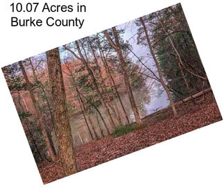 10.07 Acres in Burke County
