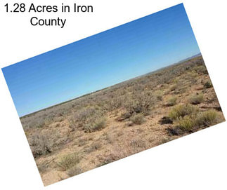 1.28 Acres in Iron County