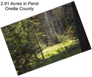 2.91 Acres in Pend Oreille County