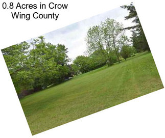 0.8 Acres in Crow Wing County