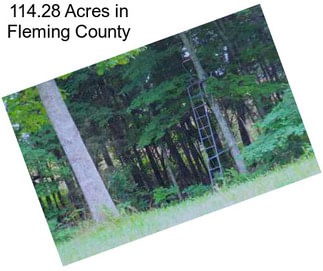 114.28 Acres in Fleming County