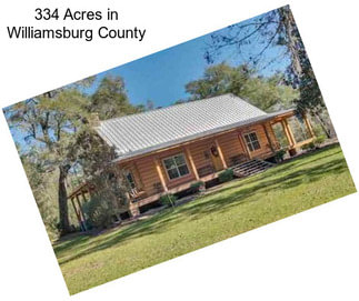 334 Acres in Williamsburg County