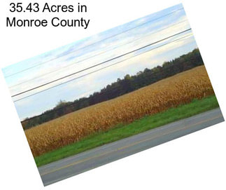 35.43 Acres in Monroe County