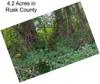 4.2 Acres in Rusk County