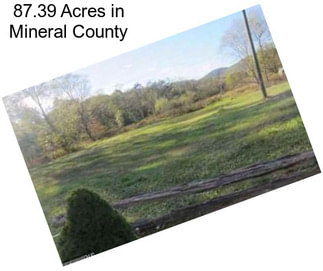 87.39 Acres in Mineral County