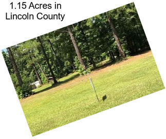 1.15 Acres in Lincoln County