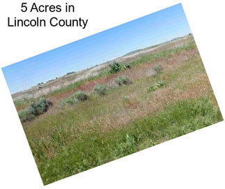 5 Acres in Lincoln County