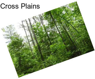 Cross Plains