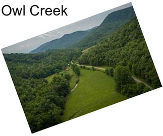 Owl Creek