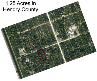 1.25 Acres in Hendry County