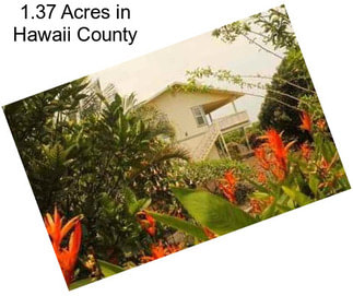 1.37 Acres in Hawaii County