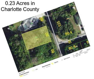 0.23 Acres in Charlotte County