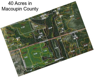 40 Acres in Macoupin County