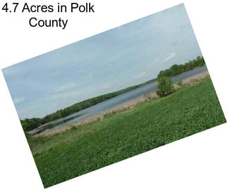 4.7 Acres in Polk County