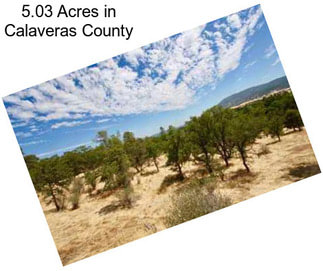 5.03 Acres in Calaveras County