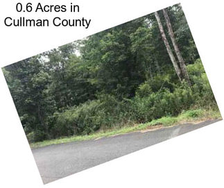 0.6 Acres in Cullman County
