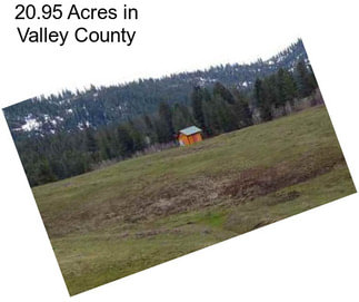20.95 Acres in Valley County