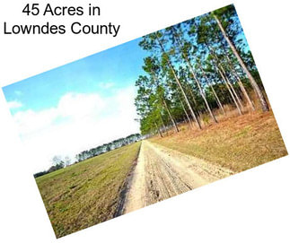 45 Acres in Lowndes County