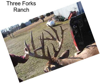 Three Forks Ranch