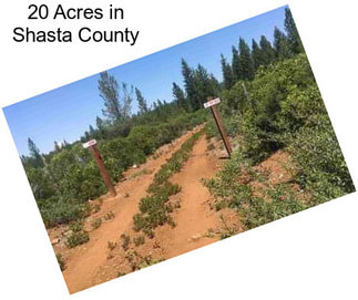 20 Acres in Shasta County