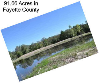 91.66 Acres in Fayette County