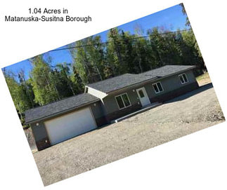 1.04 Acres in Matanuska-Susitna Borough