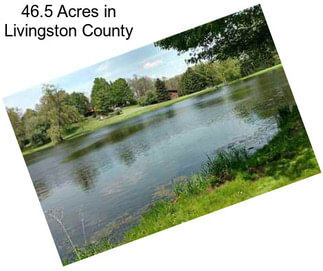 46.5 Acres in Livingston County