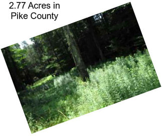 2.77 Acres in Pike County