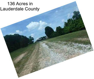 136 Acres in Lauderdale County