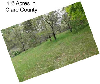 1.6 Acres in Clare County