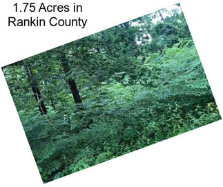 1.75 Acres in Rankin County