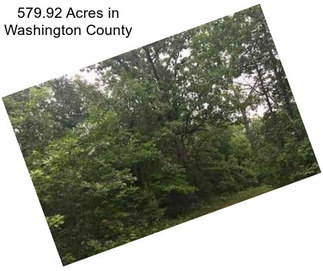 579.92 Acres in Washington County
