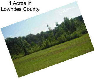 1 Acres in Lowndes County