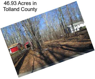 46.93 Acres in Tolland County