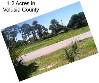 1.2 Acres in Volusia County