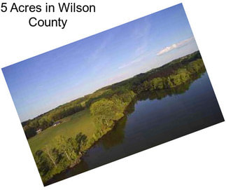 5 Acres in Wilson County