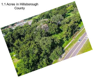 1.1 Acres in Hillsborough County