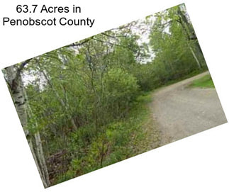 63.7 Acres in Penobscot County