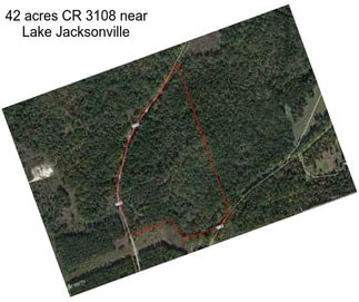 42 acres CR 3108 near Lake Jacksonville