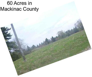 60 Acres in Mackinac County