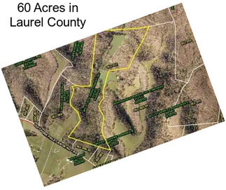 60 Acres in Laurel County