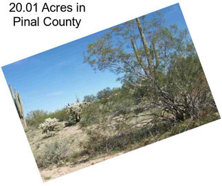 20.01 Acres in Pinal County